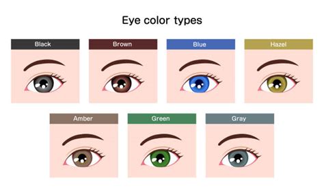 Heterochromia Types Causes Diagnosis Remedies And Treatment