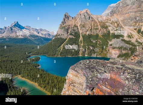 Overlooking Lake Ohara And Mary Lake Yoho National Park British