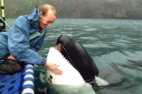 la triste historia de keiko la orca que fue estrella de cine y de reino aventura méxico