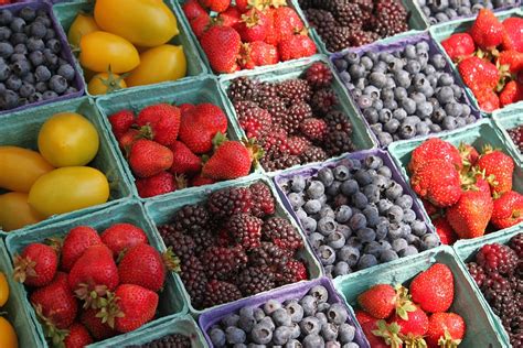 mpumalanga and limpopo set to make the biggest gains from berry production mpumalanga news