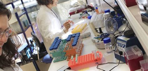 Le fonds Cinven achète le n°2 des laboratoires en France pour 1,2 ...