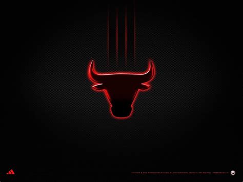 Black Bulls Logo Wallpapers Top Free Black Bulls Logo Backgrounds