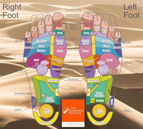 Reflexology Map Of The Feet