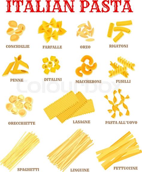 Italian Pasta List Of Different Shapes Stock Vector Colourbox