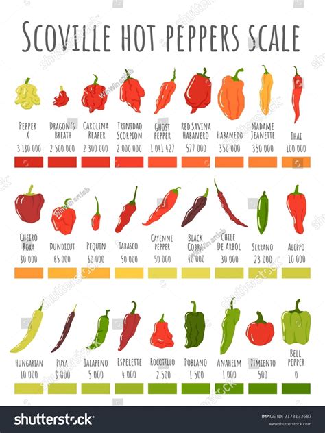 Scoville Hot Peppers Scale Hot Pepper Stock Vector Royalty Free