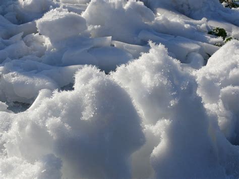 Fotos Gratis Invierno Nube Cielo Luz De Sol Escarcha Congelado