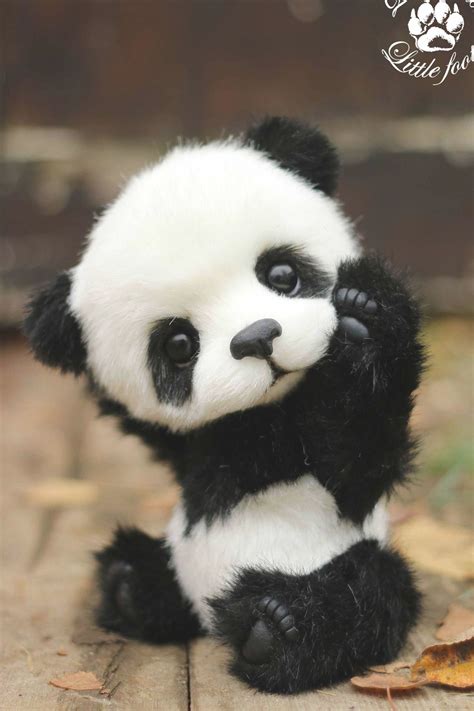 Pin By Daniele Vituri On Desenhos Para Desenhar Cute Teddy Bear Pics Panda Bear Bear Stuffed