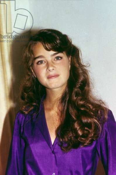 Image Of American Actress Brooke Shields In 1980 Photo