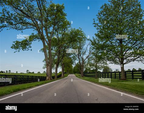 Low Angle Of Country Road Lined With Black Fences In Summer Stock Photo