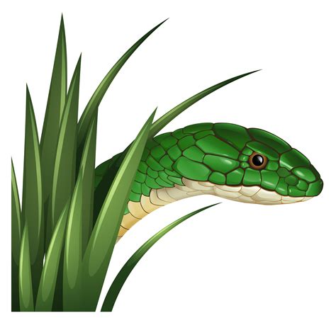 Green Snake Behind The Grass 294119 Vector Art At Vecteezy