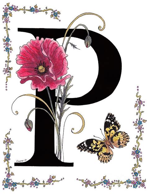A Pink Poppy And A Painted Lady Butterfly By Stanza Widen Art Poppy