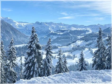 Swiss Winter Wonderland Photograph By Barbara Zahno Fine Art America