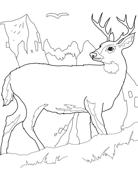 Color individual pages or download a bunch to make your own coloring book. Free Printable Deer Coloring Pages For Kids
