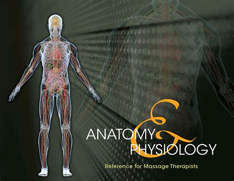 Anatomy And Physiology Reference For Massage Therapists Milady