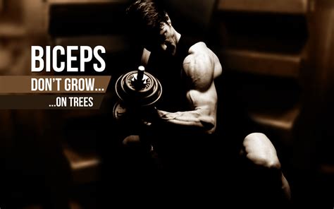 Bodybuilding Wallpapers Free Download Pixelstalknet