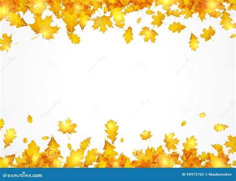Autumn Background With Golden Leaves Stock Vector Illustration Of