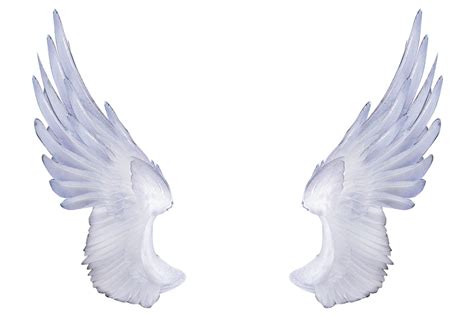 Alas Blancas De Angel Png Angel Wings Png Image Png Arts Porn Sex Picture