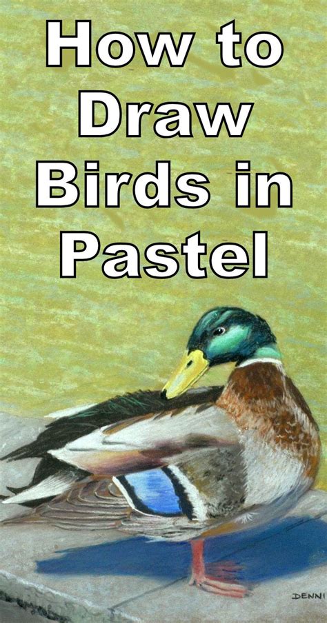 Click the download button to find out the full image of how to draw a mallard duck printable, and download it for a computer. How to Draw Mallard Duck at Pond in Pastel | Bird drawings ...