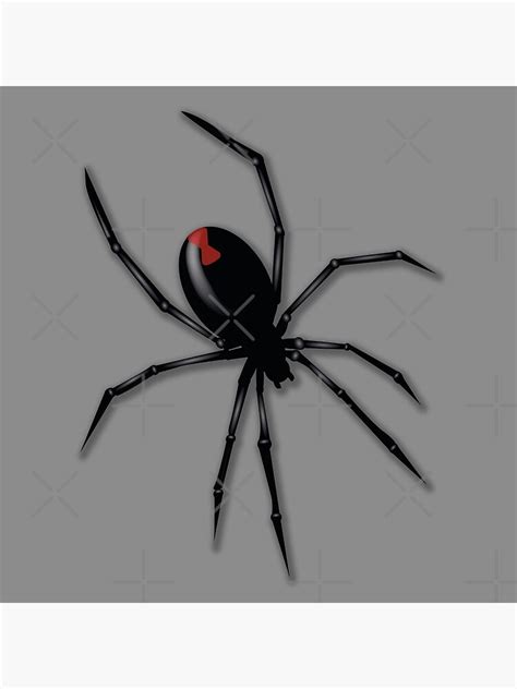 Scary 3d Spider Black Widow Spider Poster For Sale By Lemon Pepper