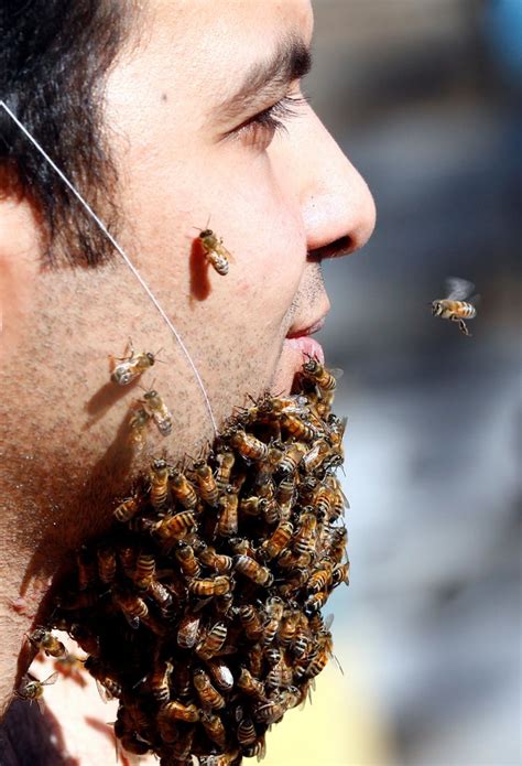 Egyptian Man Has One Honey Of A Bee Beard