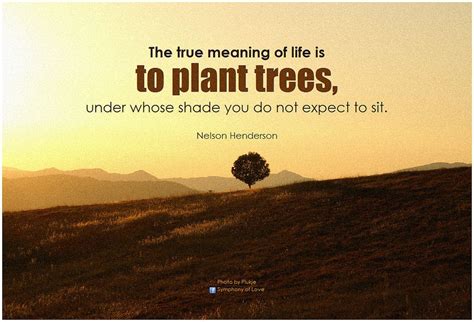 Nelson Henderson The True Meaning Of Life Is To Plant Trees Under