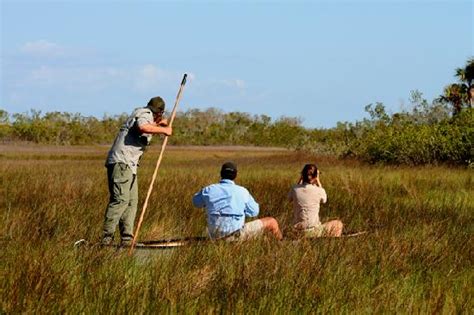 Everglades Adventure Tours Ochopee 2021 All You Need To Know Before