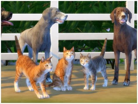 Animals Converted Part I At Sims By Severinka Sims 4 Updates