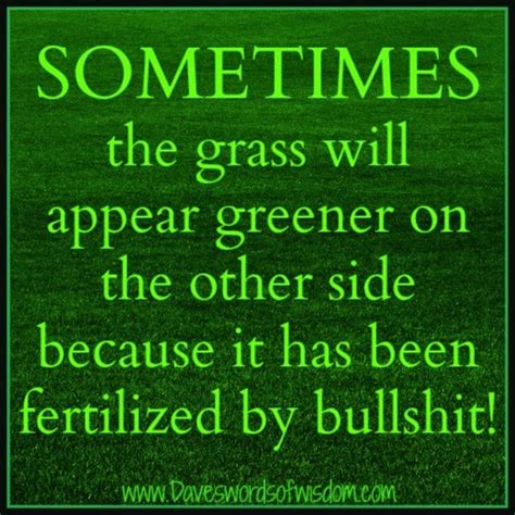 The Grass Isnt Always Greener