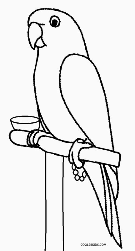 Printable Parrot Coloring Pages For Kids