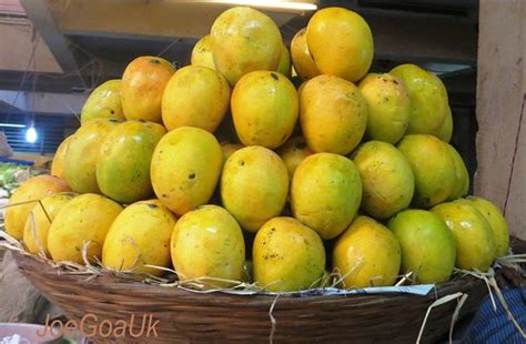 Mankurad Mangoes Mango King Now Rs400 Per Doz Panjim Mark