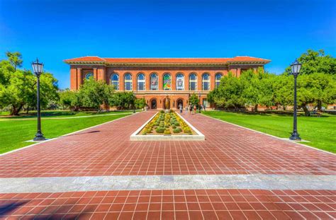University Of Arizona Veronika Martins