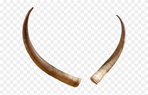 Free Animal Horn Cliparts Download Free Animal Horn Cliparts Png