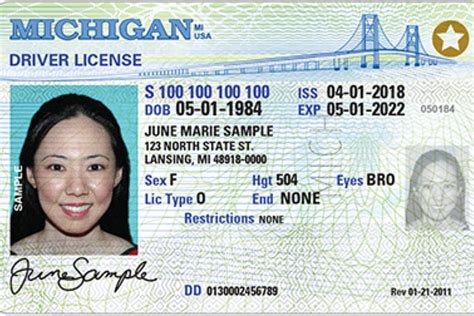 Where Is Driver License Number Located Michigan Id Terint