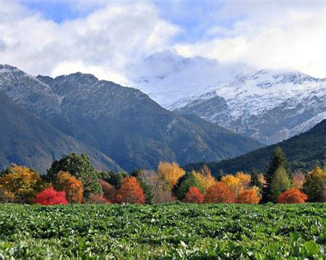 Fall Colours New Zealand Photorator