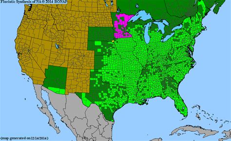 Some plants and plant parts can be toxic or cause allergic reactions. Toxicodendron radicans | Illinois Botanizer