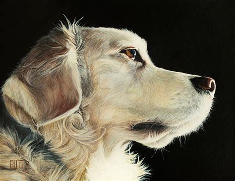 Best Friend Ben Realistic Acrylic Dog Painting By Sillyputtyvisuals