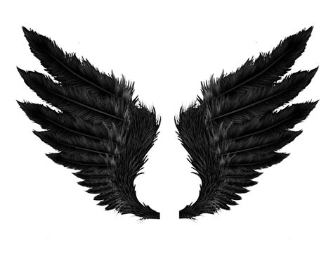 Black Evil Wings Png Transparent Image Download Size 1024x796px