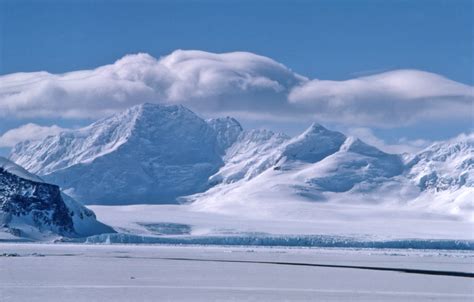 Polar Tundra