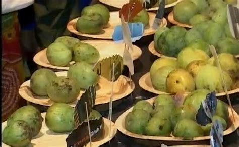 Bengaluru Celebrates With Mangoes As Summer Makes Way For Monsoons