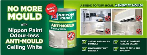 To really get rid of mold, you have to not only. Buy Nippon Paint Anti Mould Ceiling White 5L Deals for ...