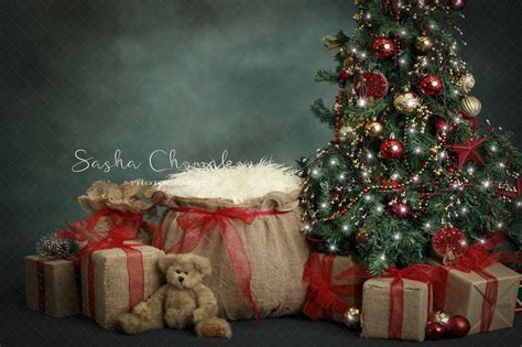 Digital Backdrop Christmas Backdrops Baby Christmas Photography