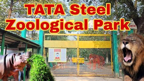 Tata Steel Zoological Park 🏞️ Jamshedpur Jharkhand Youtube