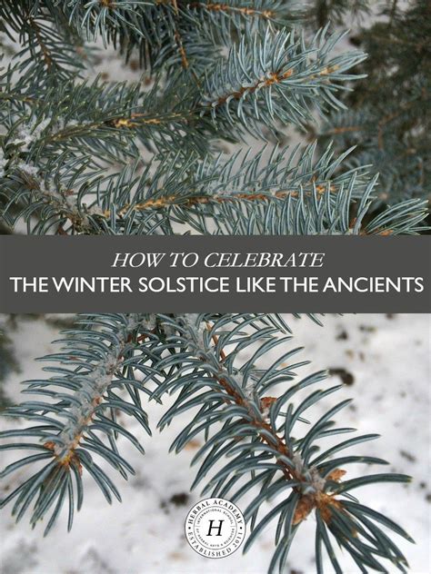 Yule Traditions Winter Solstice Traditions Christmas Traditions Winter Solstice Rituals