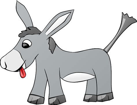Donkey Ears Png In This Gallery Donkey We Have 46 Free Png Images