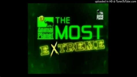 Animal Planet The Most Extreme Theme Song Youtube