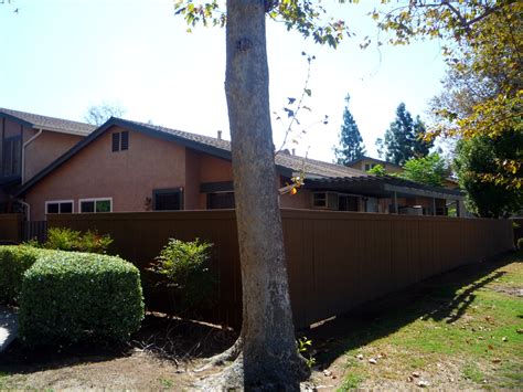 10257 Michala Place - Utopia Management