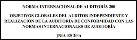 Nia Es 200 Objetivos Globales Del Auditor Auditoría Y Contabilidad España