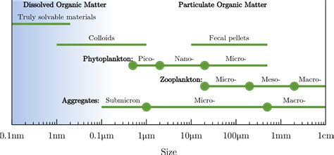 Figure 1 From Phytoplankton Pico Nano Micro Zooplankton Micro Meso