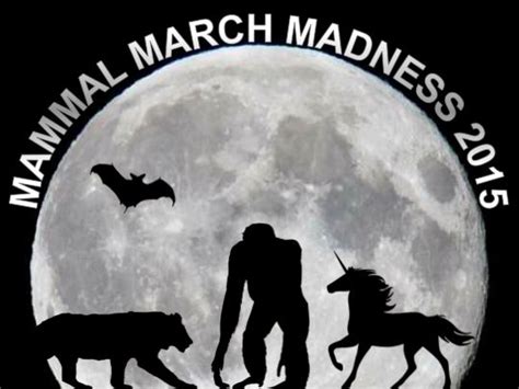 Mammal March Madness 2015 | March madness, Mammals, Takikawa