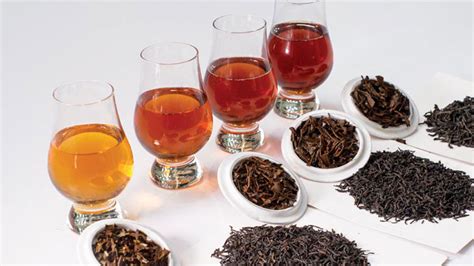That is because premium tea has a price tag that many sri lankans can't afford. Tea Types | Finest Teas of The World | Green Tea Sri Lanka ...